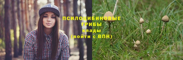 ECSTASY Белоозёрский